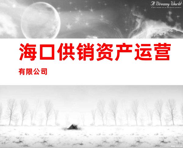 海口供销资产运营有限公司